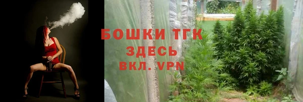 тгк Аркадак