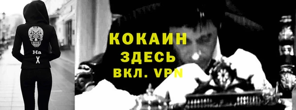 кокс Арсеньев