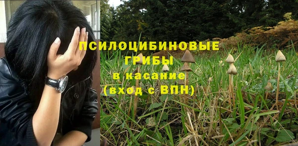 тгк Аркадак