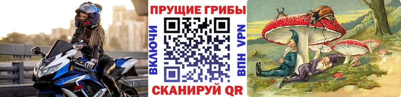 Галлюциногенные грибы прущие грибы Чусовой